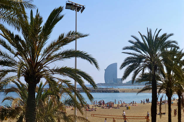 spiagge di Barcellona palme hotel W