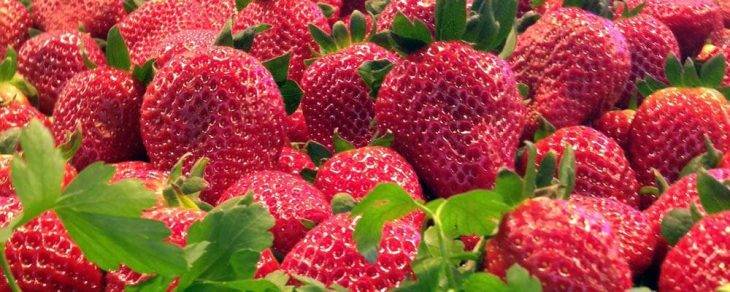 aprile Barcellona fragole