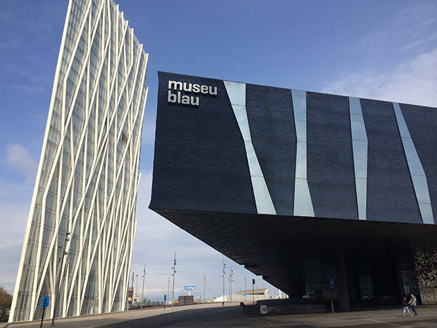 Museu Blau: il museo delle scienze naturali a Barcellona