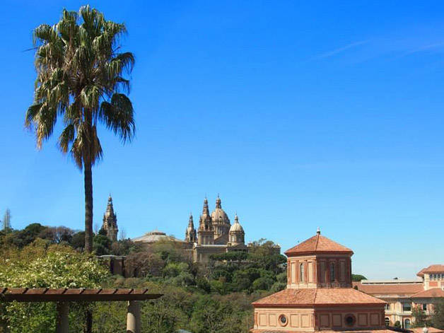 Montjuïc: cultura, sport, architettura e relax nel polmone verde di Barcellona