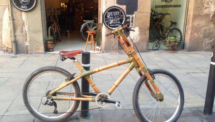 street art tour in bici, bici in bambú