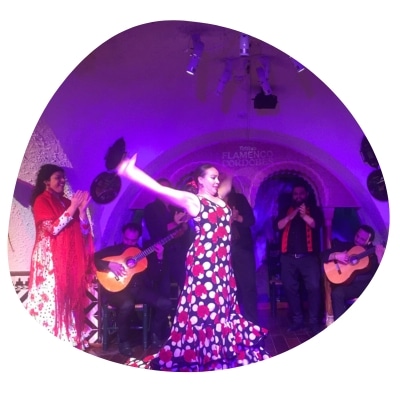 flamenco barcellona riassunto