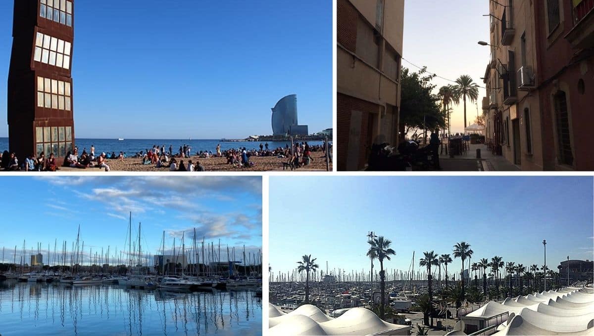 foto della Barceloneta e del porto